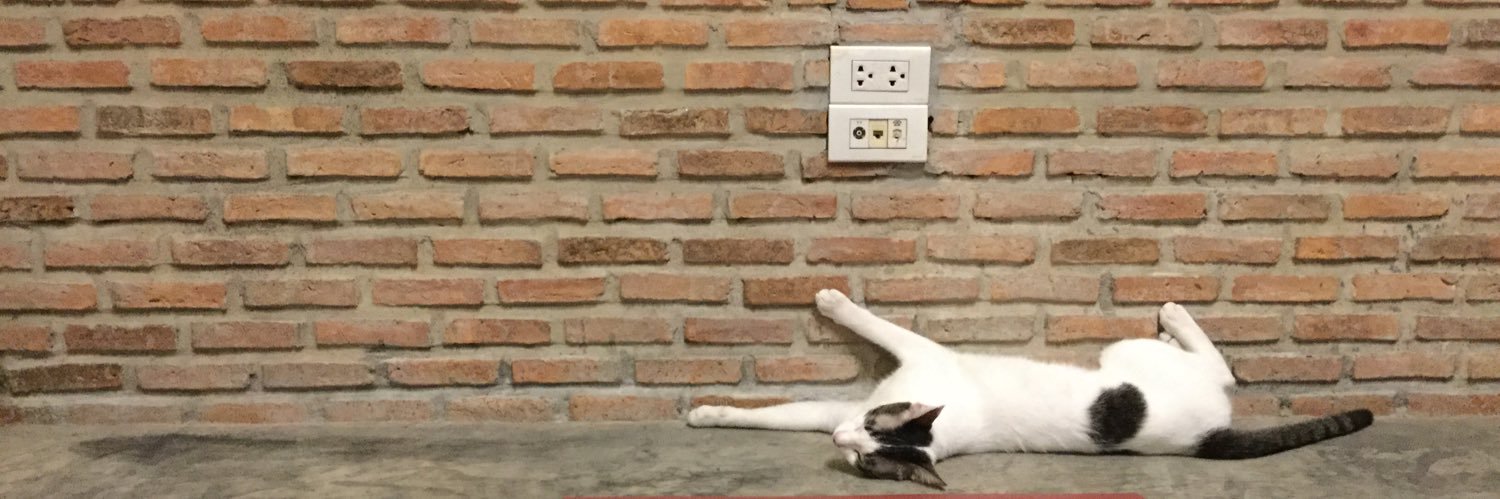 v_pon's profile banner image