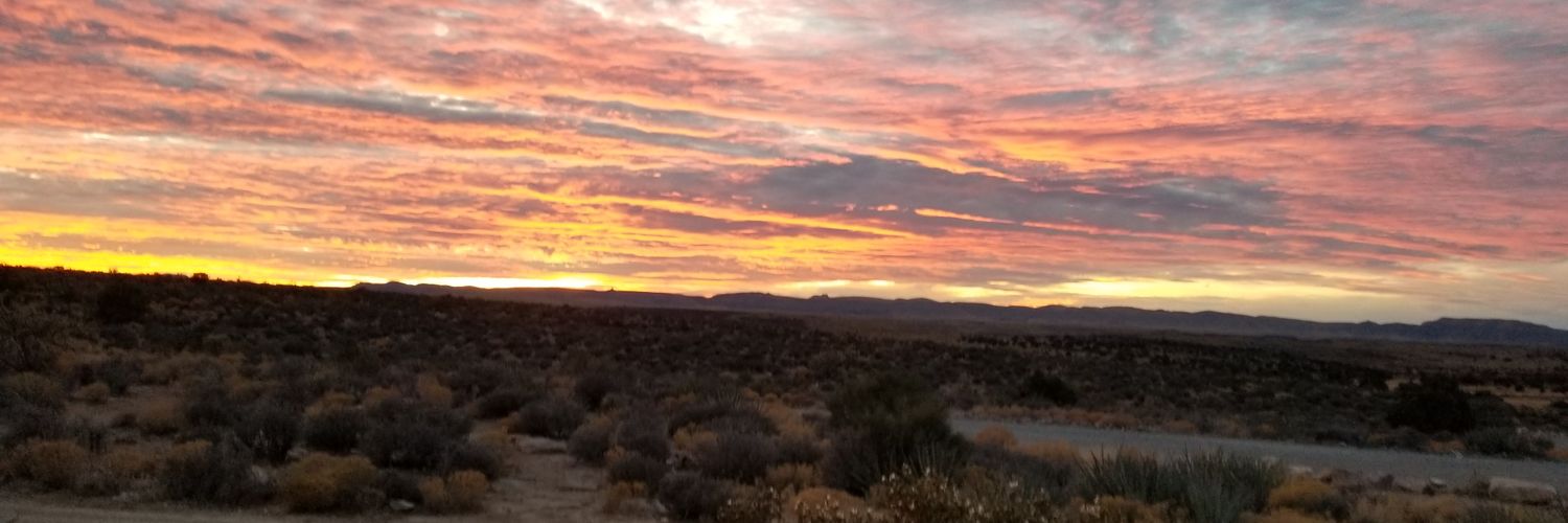 kinalpatel93's profile banner image