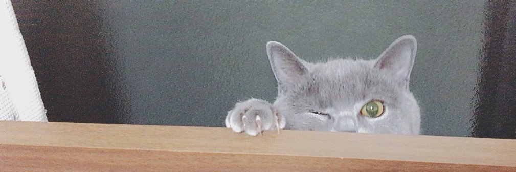 so_reo's profile banner image