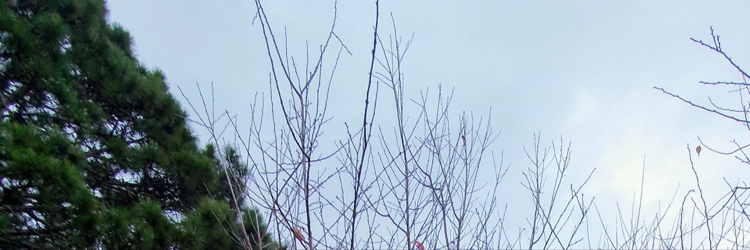 8446sky's profile banner image