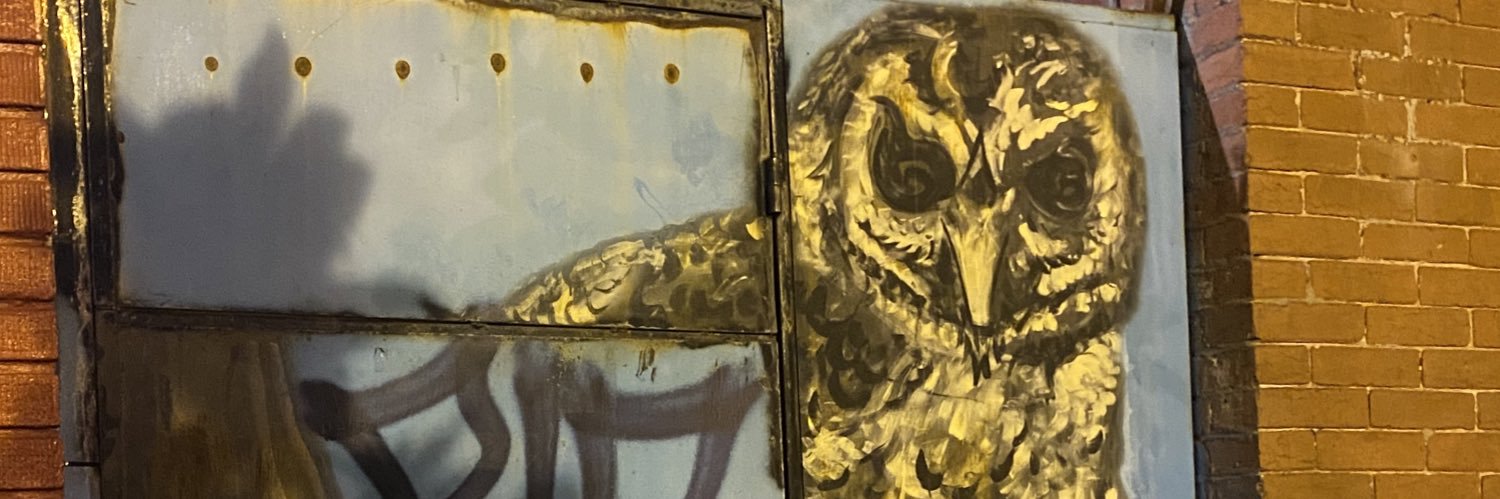 youngstromboli's profile banner image