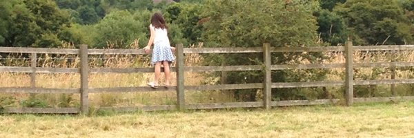 writer5 Profile Banner