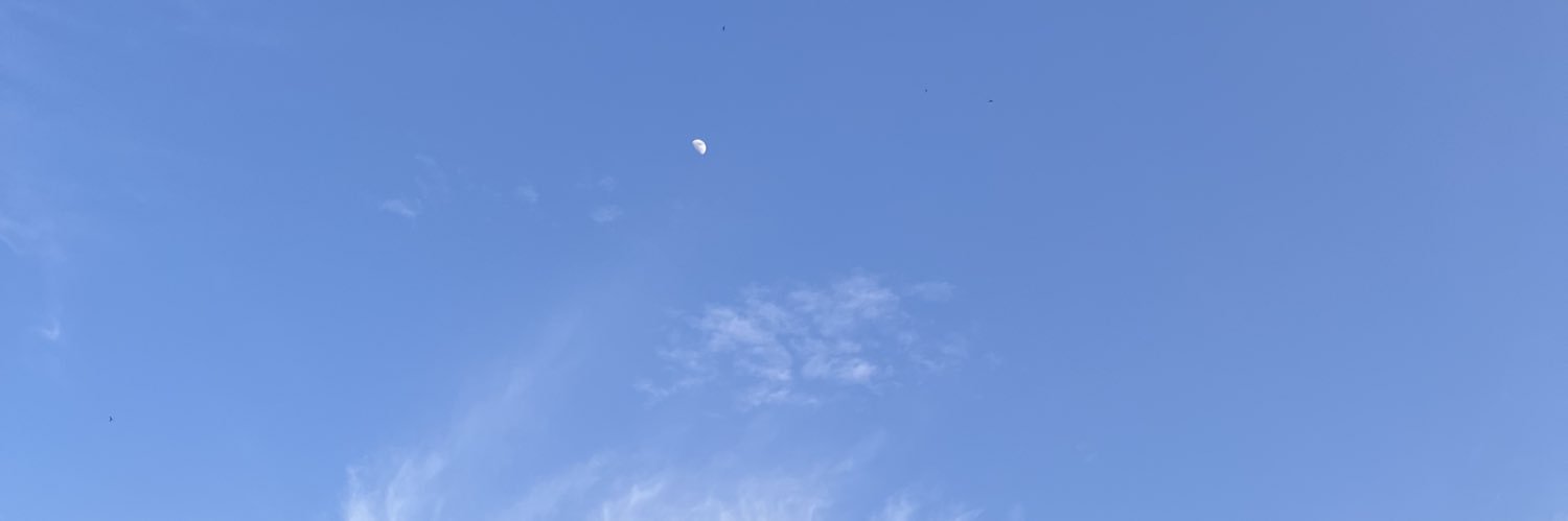 danellsland's profile banner image