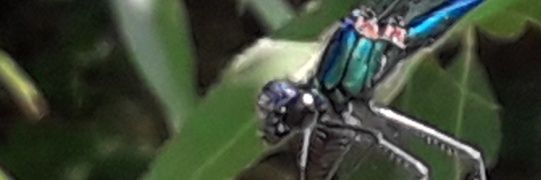 _Mrs__B's profile banner image