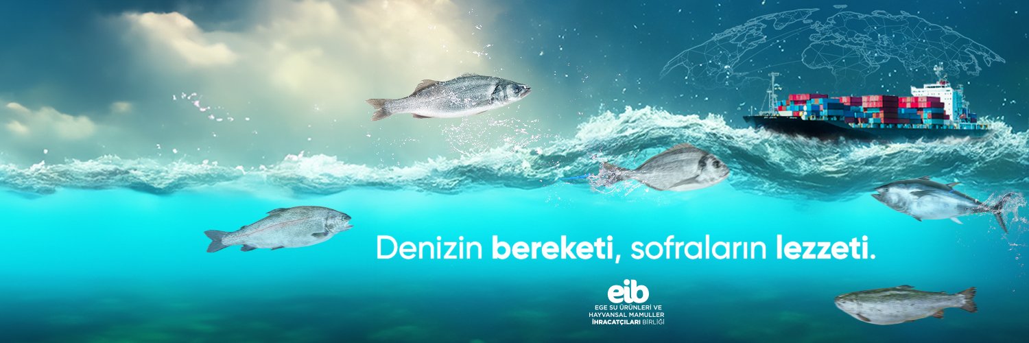 turkishseafood's profile banner image