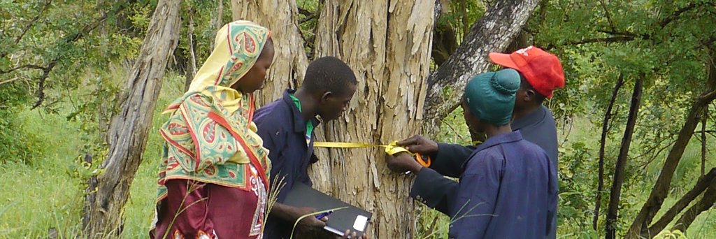 Mpingo Conservation banner