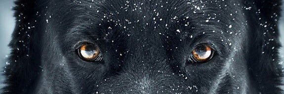 Seabelo99's profile banner image