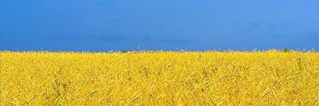TurmaTurunen's profile banner image