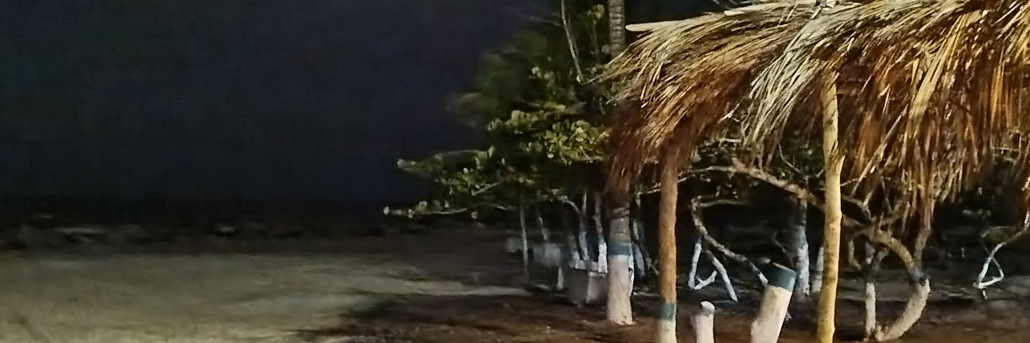 BrianSuarez1's profile banner image
