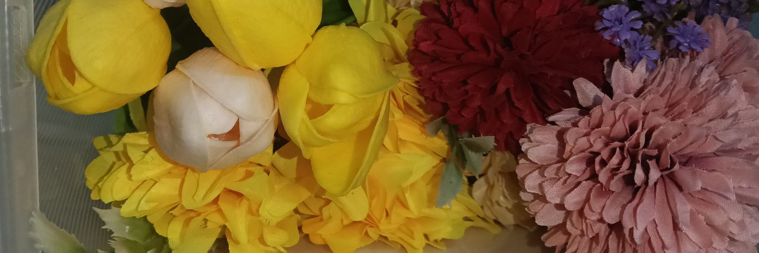 MaybiNmr's profile banner image