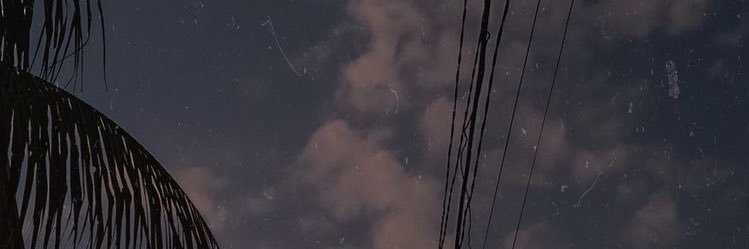 laryyx banner