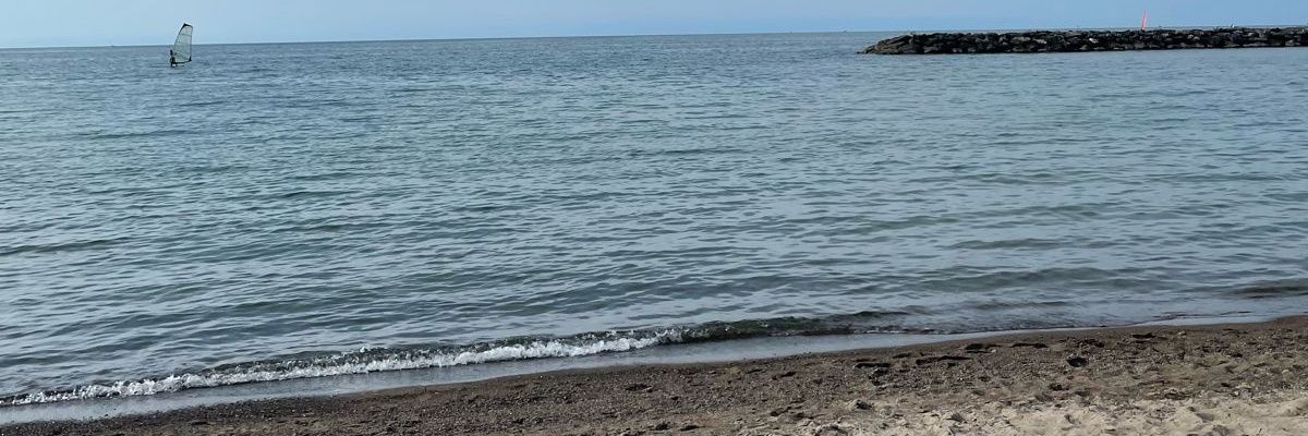 E L P A V E L banner