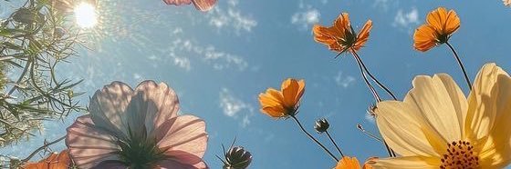 heaveenleigh's profile banner image