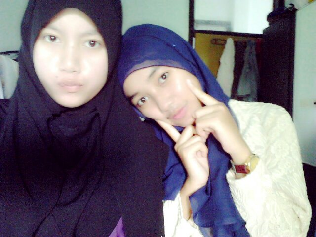 dinot  banner