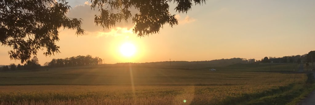 Madiii_21's profile banner image