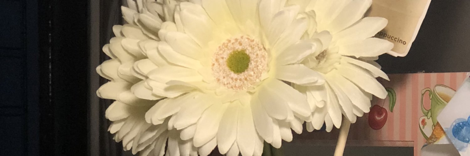 NoufHamza's profile banner image