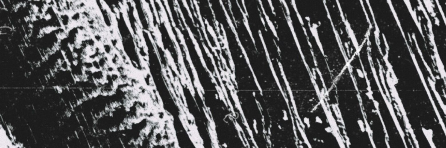 🦡 BadJah 🦡 banner