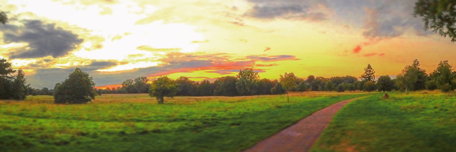 Danawann's profile banner image
