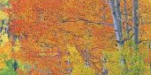 Flicka911's profile banner image