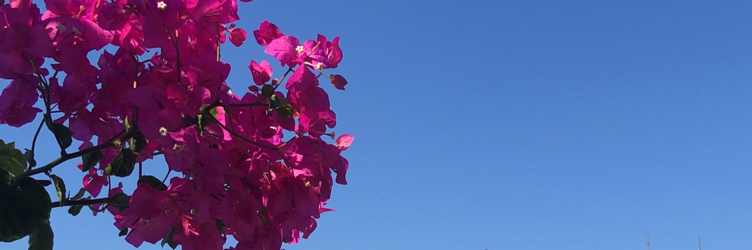 aysuolgn's profile banner image