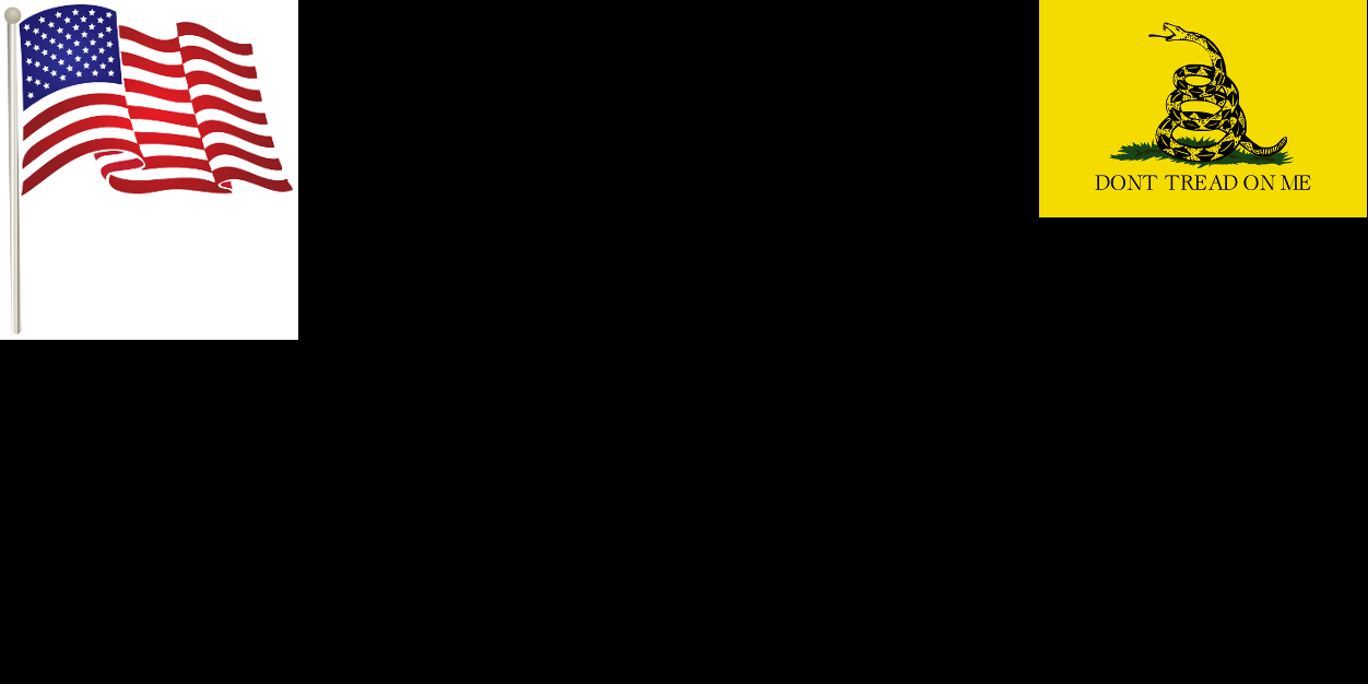 Tea Party Core banner