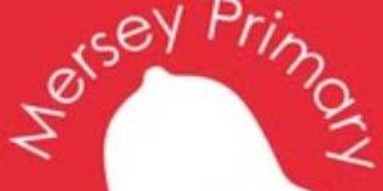 MerseyYear3's profile banner image