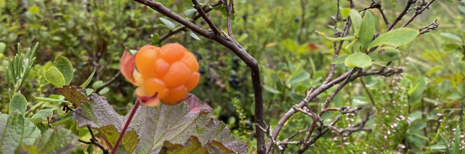 Christoffer Gille banner