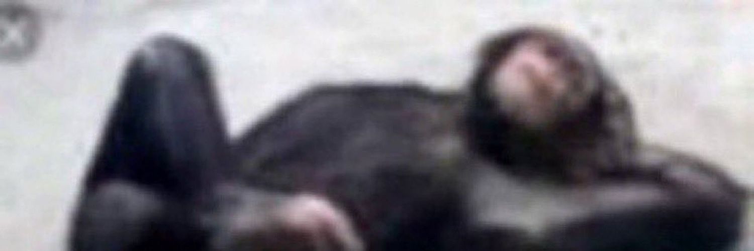 hugolmrq's profile banner image