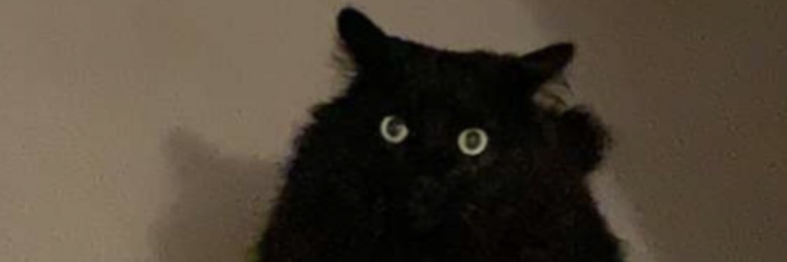 fckboysrus's profile banner image