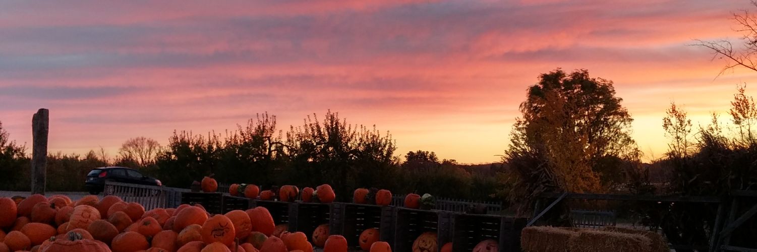 aleski525's profile banner image