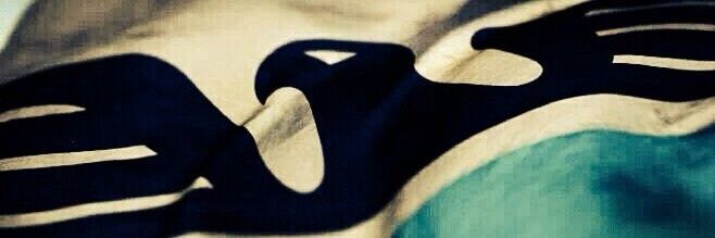 texano61's profile banner image