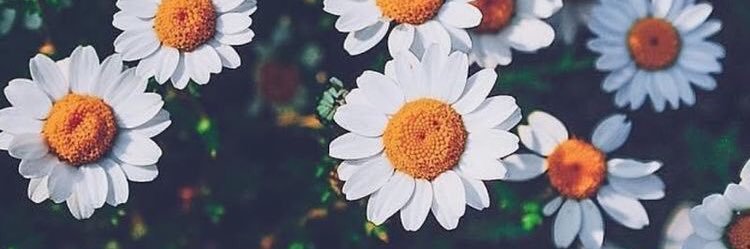 BeaIAm123's profile banner image