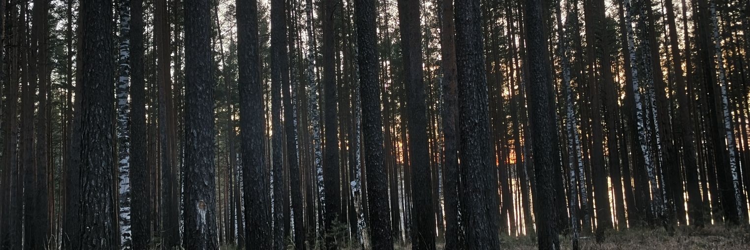 vladk0m's profile banner image