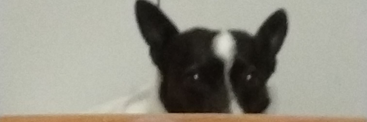 Florayala30's profile banner image