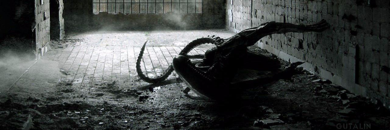 weirdpaleface's profile banner image