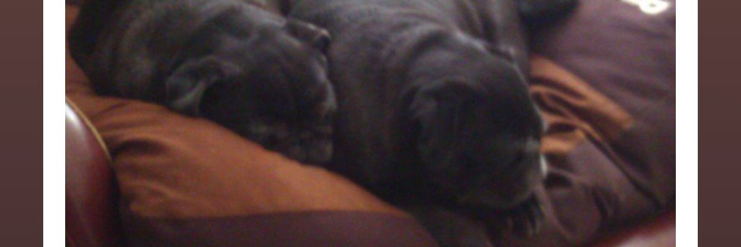 ItsCoCoBrown's profile banner image