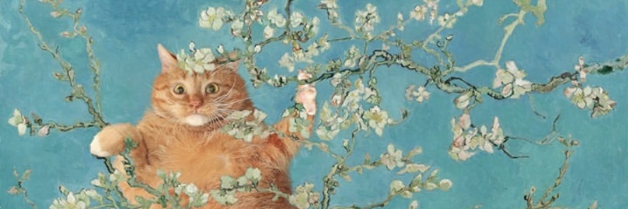 Natalistica's profile banner image