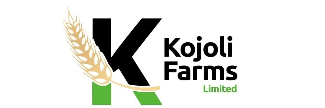kojolite's profile banner image