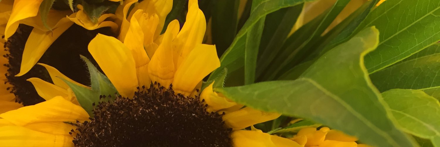 Natalie_warren2's profile banner image