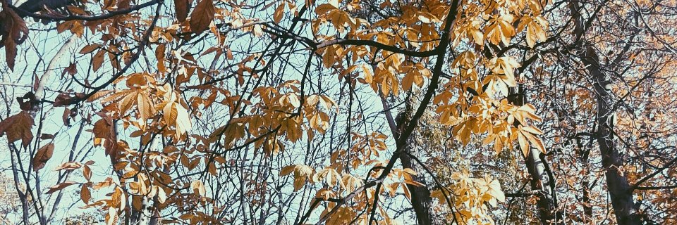 andi_solana's profile banner image