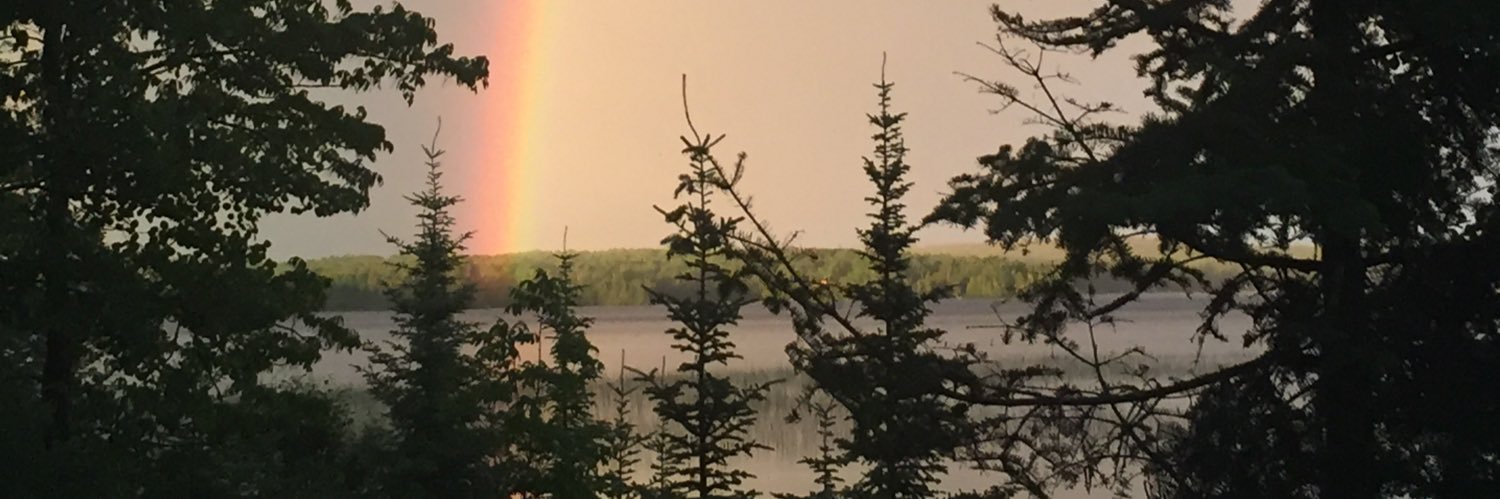 borty99's profile banner image