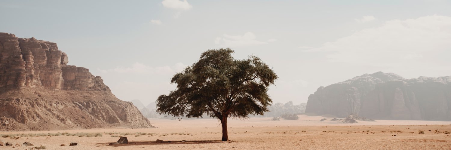 Bachir Bachchar banner