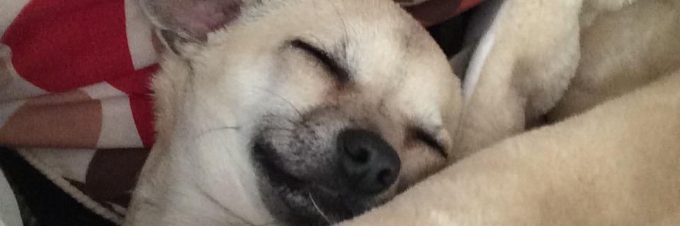 snapgash's profile banner image
