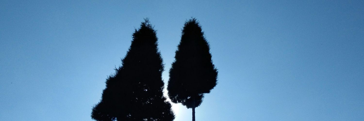 flobarus's profile banner image