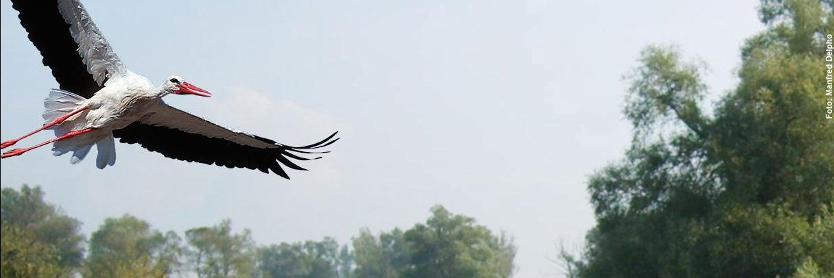 OlafTschimpke's profile banner image