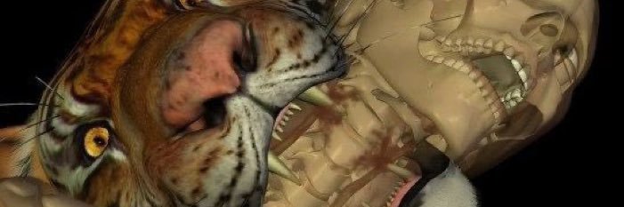 azzuier's profile banner image