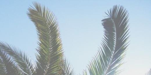 sydneyallgdr's profile banner image