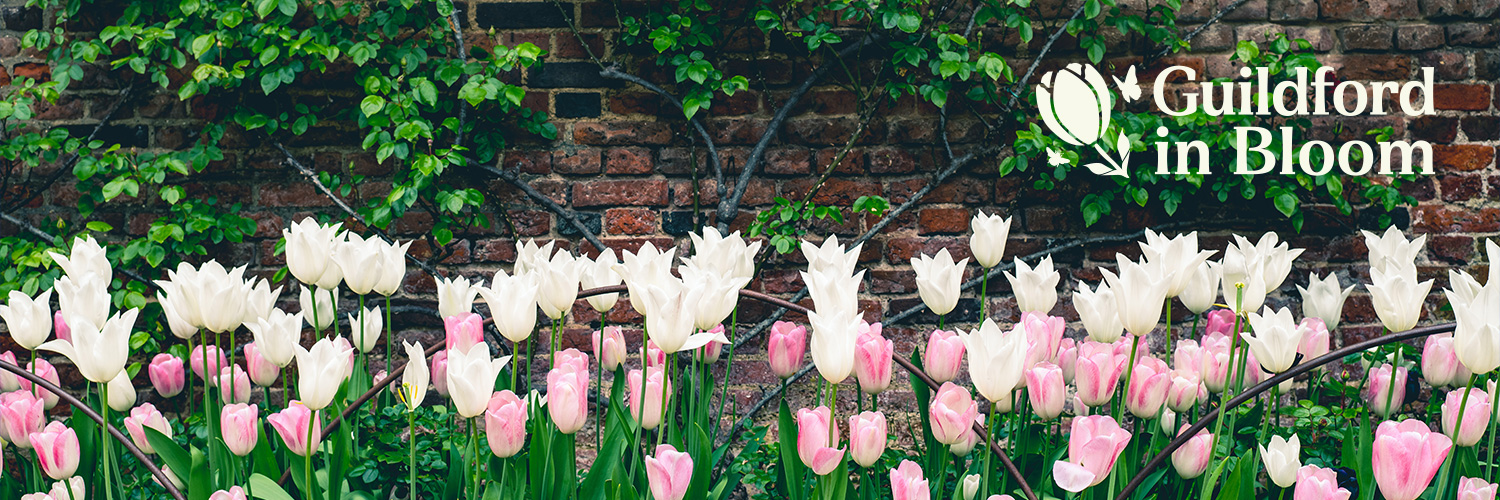 GuildfordnBloom's profile banner image