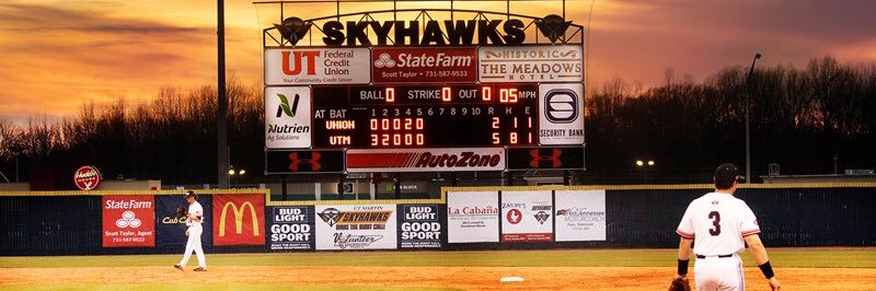 UT Martin Baseball's banner