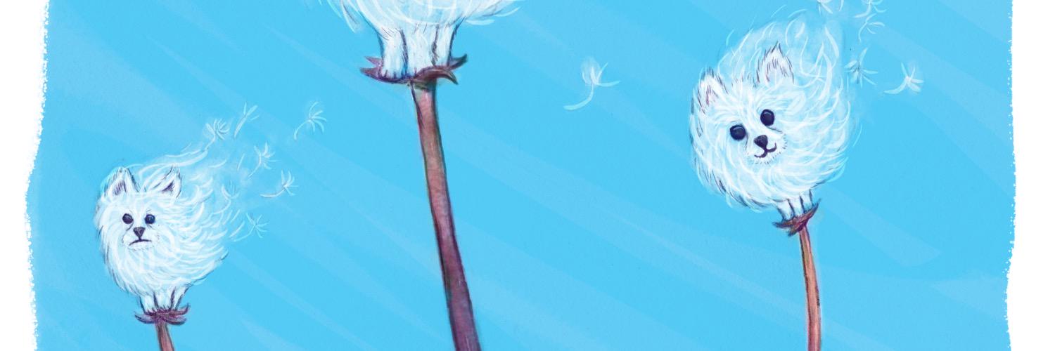 vballronny7's profile banner image
